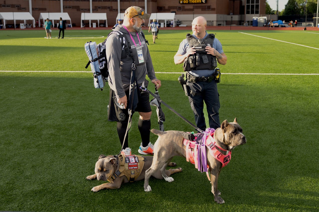 Service dogs and handlers on a sunny field, showcasing teamwork and companionship.